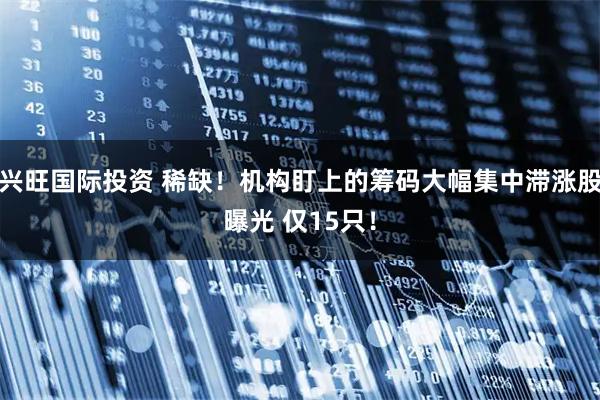 兴旺国际投资 稀缺！机构盯上的筹码大幅集中滞涨股曝光 仅15只！
