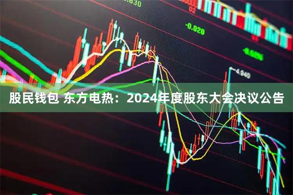 股民钱包 东方电热：2024年度股东大会决议公告