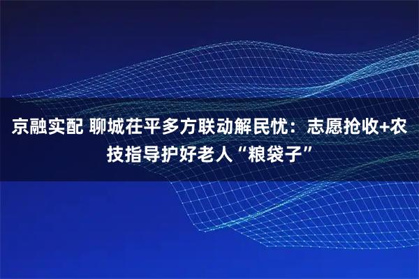 京融实配 聊城茌平多方联动解民忧：志愿抢收+农技指导护好老人“粮袋子”